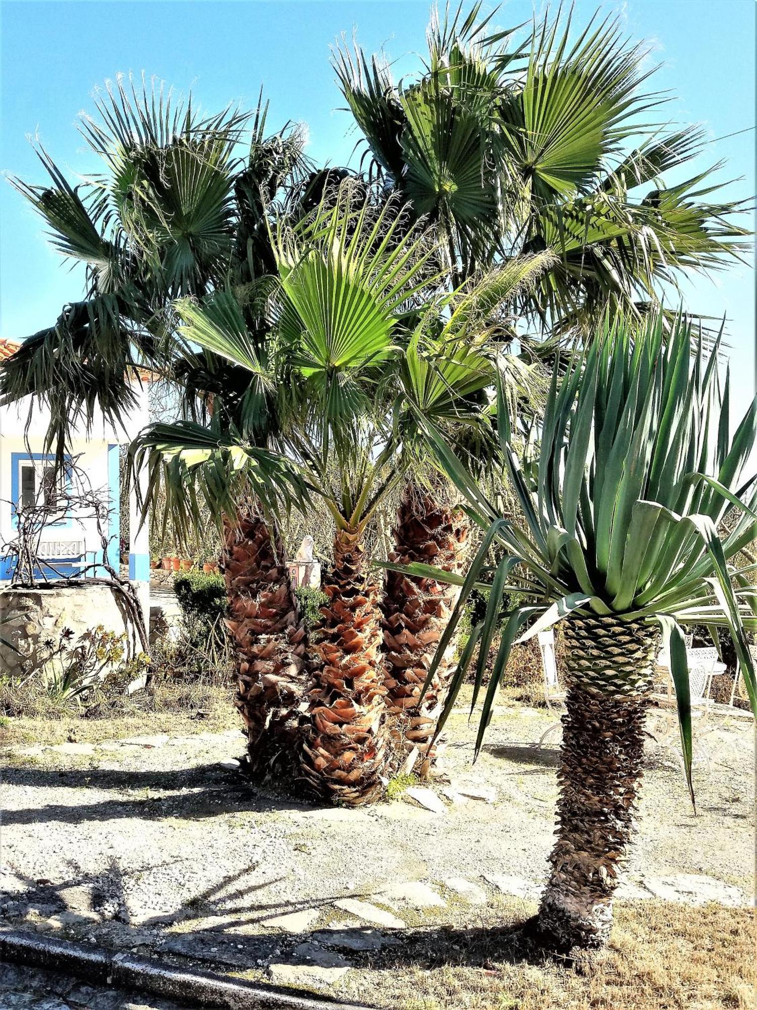 Agua Rocha Villa Serra de Mangues Rom bilde