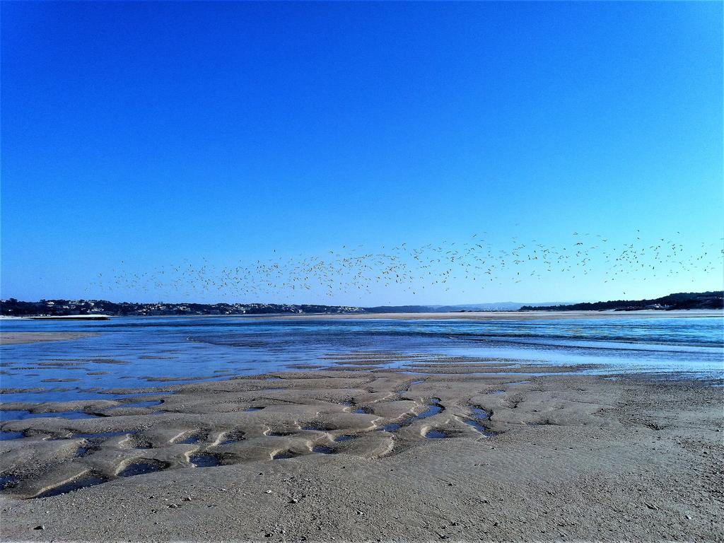 Agua Rocha Villa Serra de Mangues Eksteriør bilde